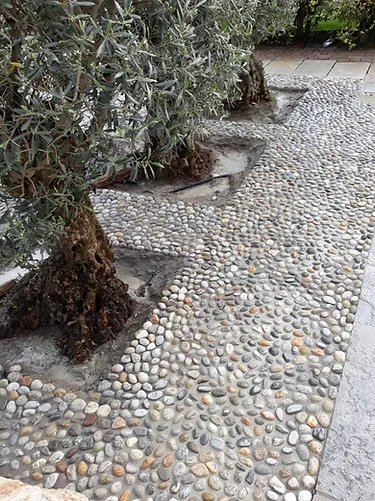Galerie Bild von Garten & Landschaftsbau Zena